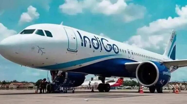IndiGo Flights : 228 यात्री और क्रू सुरक्षित, विमान को आइसोलेशन बे में ले जाया गया