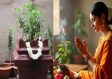 Tulsi Puja Niyam : तुलसी पूजा में नियमों का पालन जरूरी, तभी मिलेगा सुख-समृद्धि का आशीर्वाद